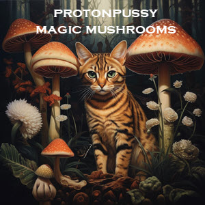 Proton Pussy Magic